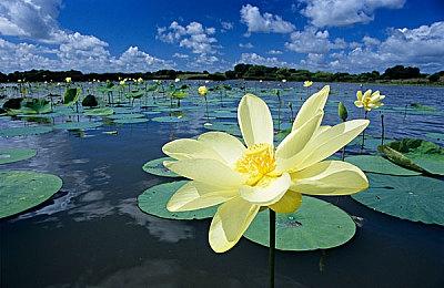 欢乐合作救援游戏《灭火先锋》正式发布，200%新增内容！